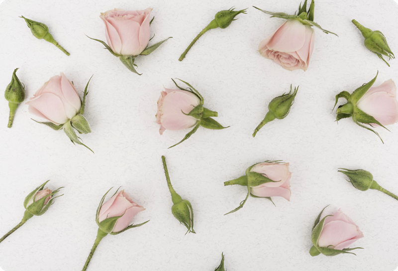 Cvetlična vinilna preproga romantični pomladni cvetovi - TenStickers