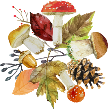 Cvetlična vinilna preproga jesenski elementi - TenStickers