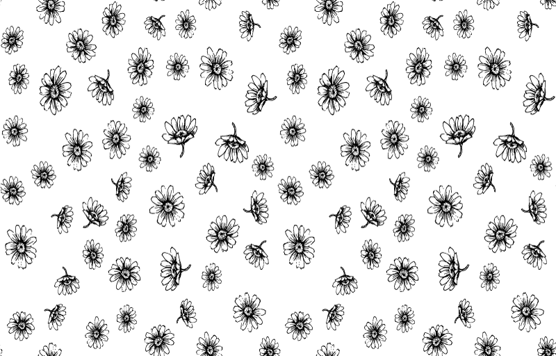 Cvetlična vinilna preproga set obrisov marjetic - TenStickers