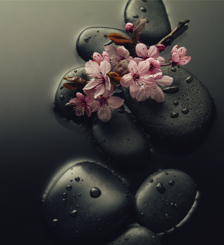 Naravne vinilne preproge zen ambient s kamnom za wc - TenStickers