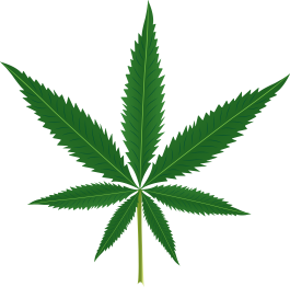 Cvetlična vinilna preproga list marihuane - TenStickers