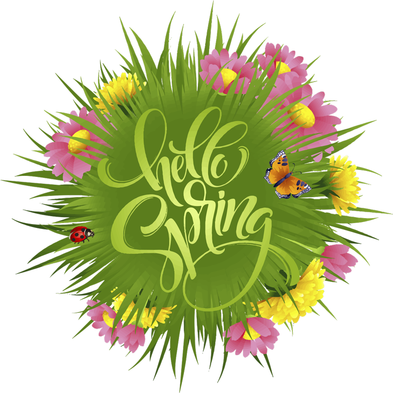 Cvetlična vinilna preproga cvetovi spomladanskega polja - TenStickers