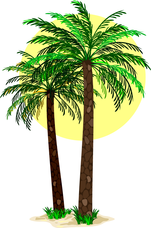 Cvetlična vinilna preproga tropske palme - TenStickers