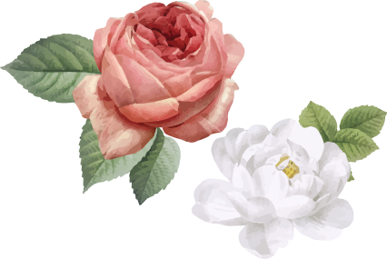 Vinilne preproge za spalnico bele in roza vrtnice - TenStickers