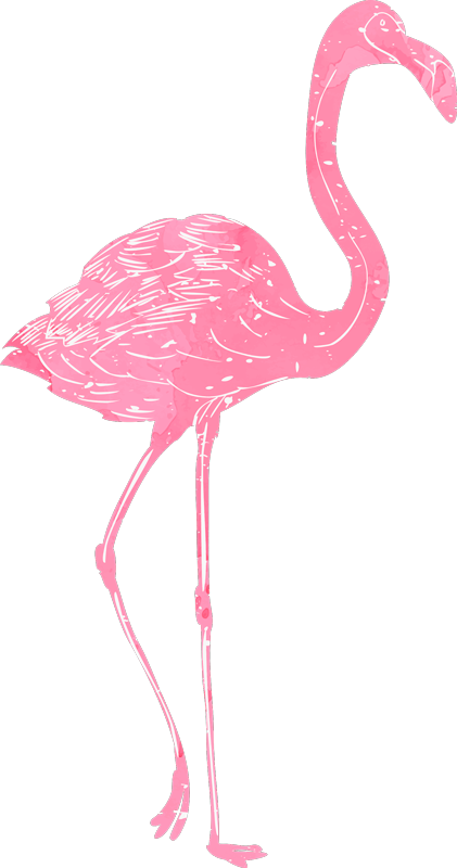 Vinilne preproge za spalnico akvarelni flamenco - TenStickers