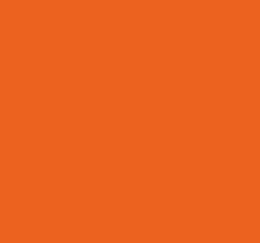 Oranžni vinilni preproga citrusna oranžna - TenStickers