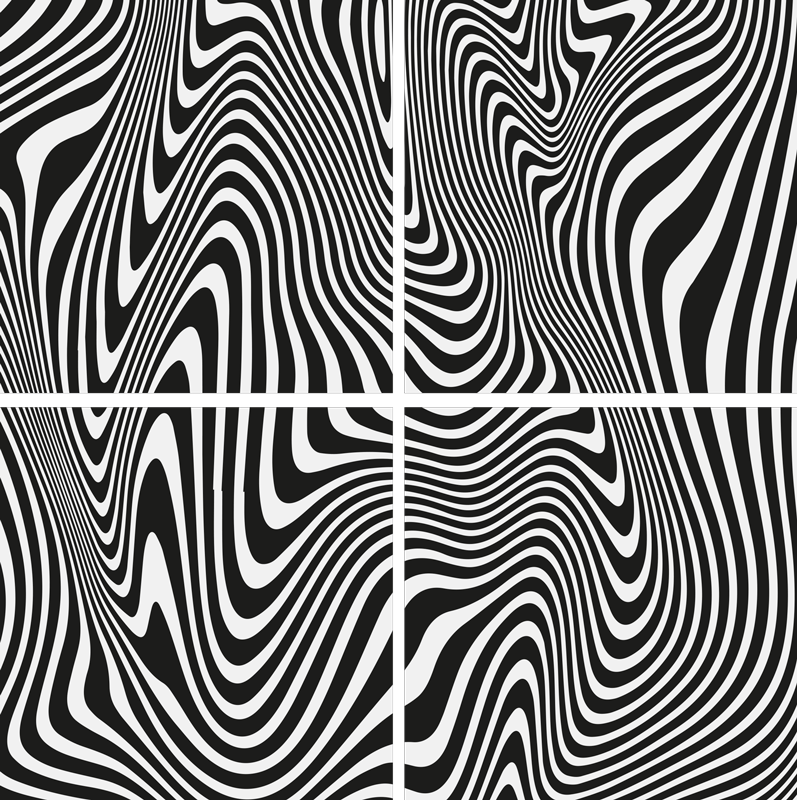 Črni vinilni preproga zebra 3d učinek - TenStickers