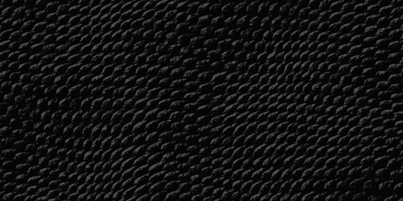 črna kačja koža živalski tisk vinilne preproge - TenStickers