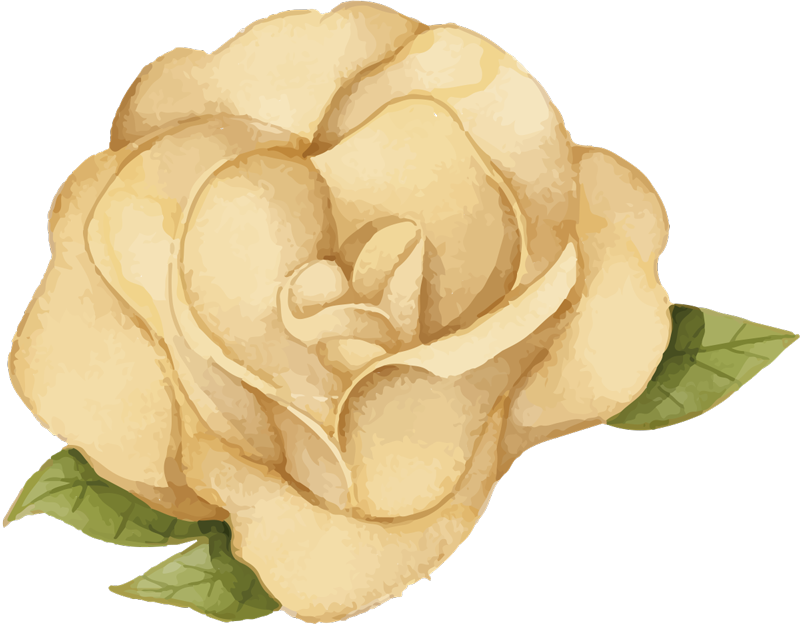 čudovita odeja za spalnico z zlato vrtnico - TenStickers