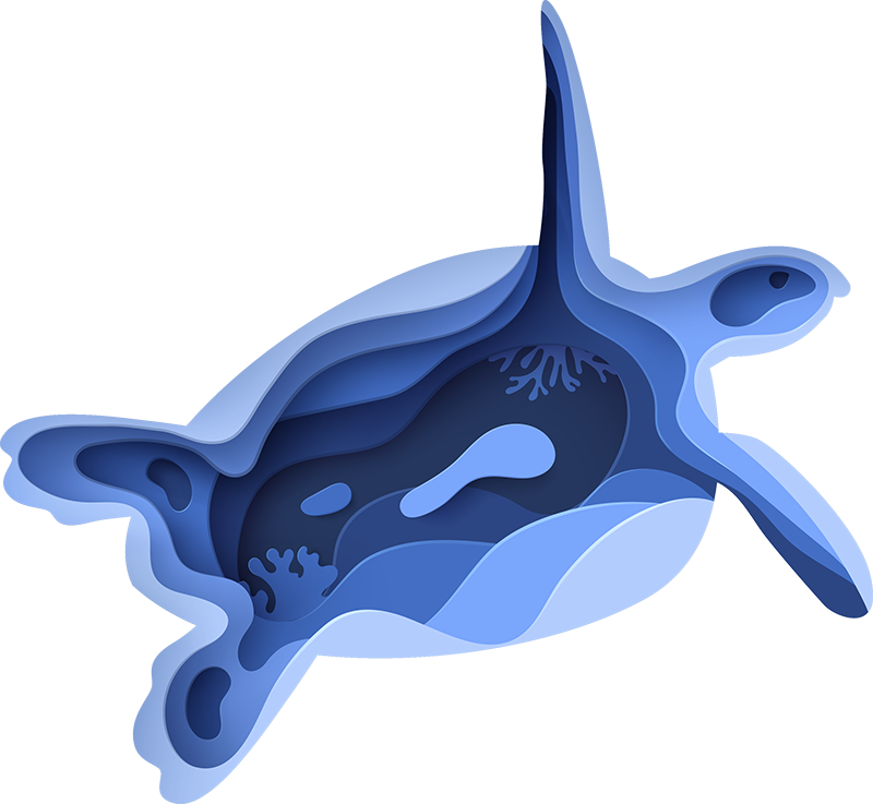 Oblika morske želve Tepih z živalskim potiskom - TenStickers