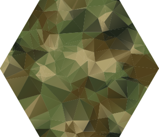 Vinilne preproge z geometrijskimi vzorci heksagon - TenStickers
