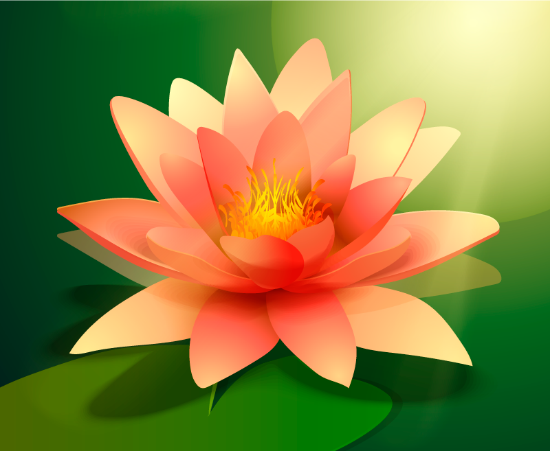 Lotus s senčno cvetlično vinilno preprogo - TenStickers