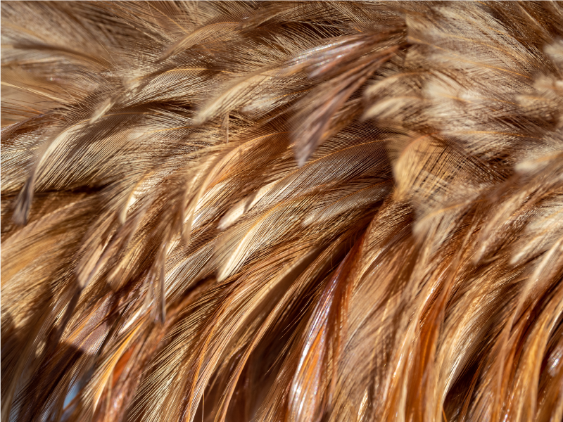 Vrtinčasto krzno vinilni tepih s potiskom živali - TenStickers