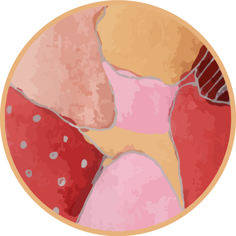 živahni cvetlični motivi Vinilna preproga za vhod - TenStickers