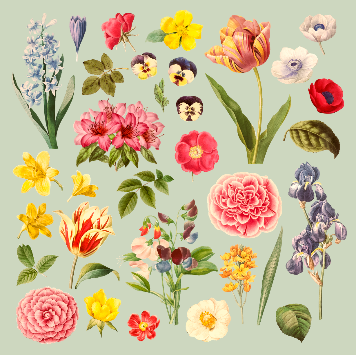 Floral botanical collection cvetlična vinilna preproga - TenStickers