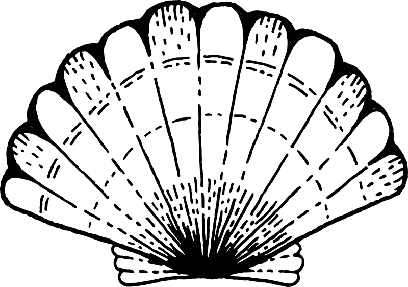 Poudarek z vzorcem školjke Naravne vinilnea preproga - TenStickers