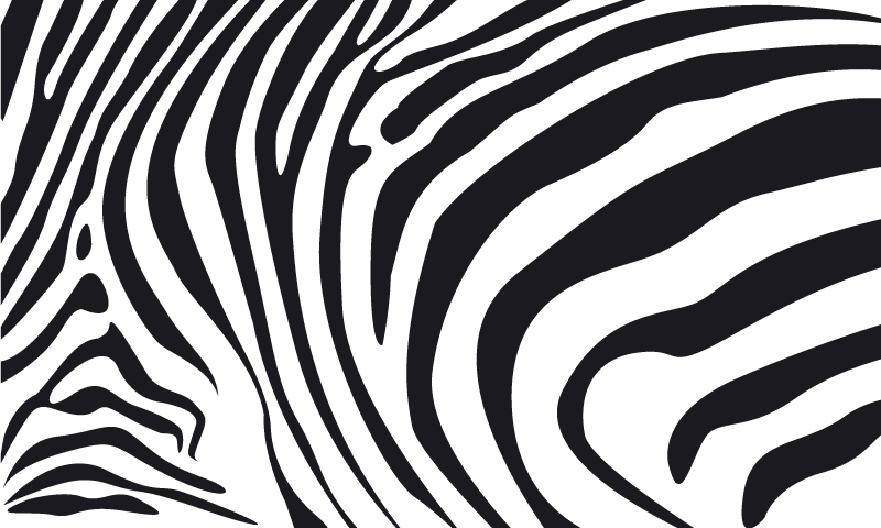 Zebra lines vinilni tepih s potiskom živali - TenStickers