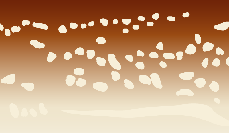 Vinil preproga iz jelenje kože z živalskim potiskom - TenStickers