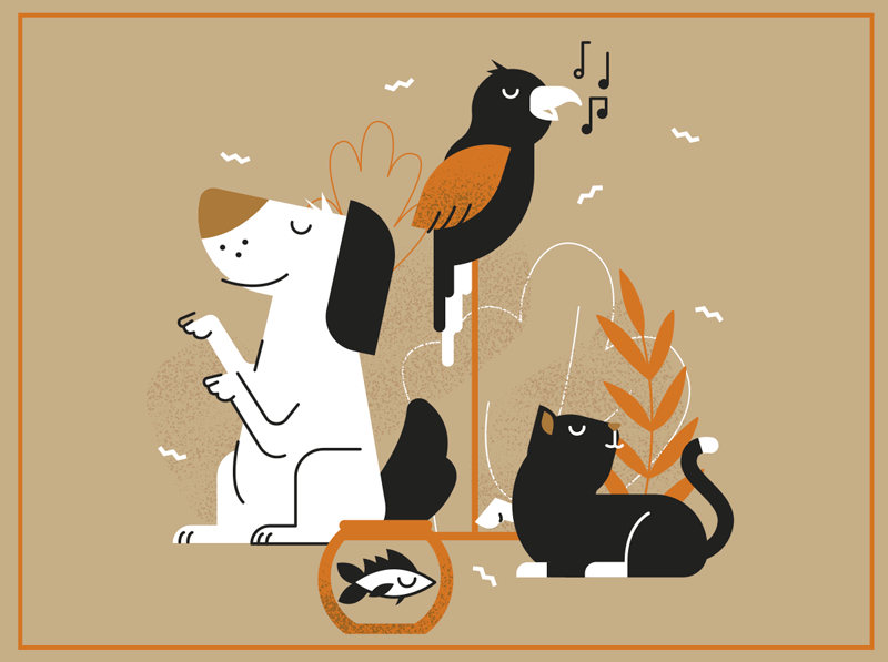 Srečne ljubke domače živali preproga - TenStickers