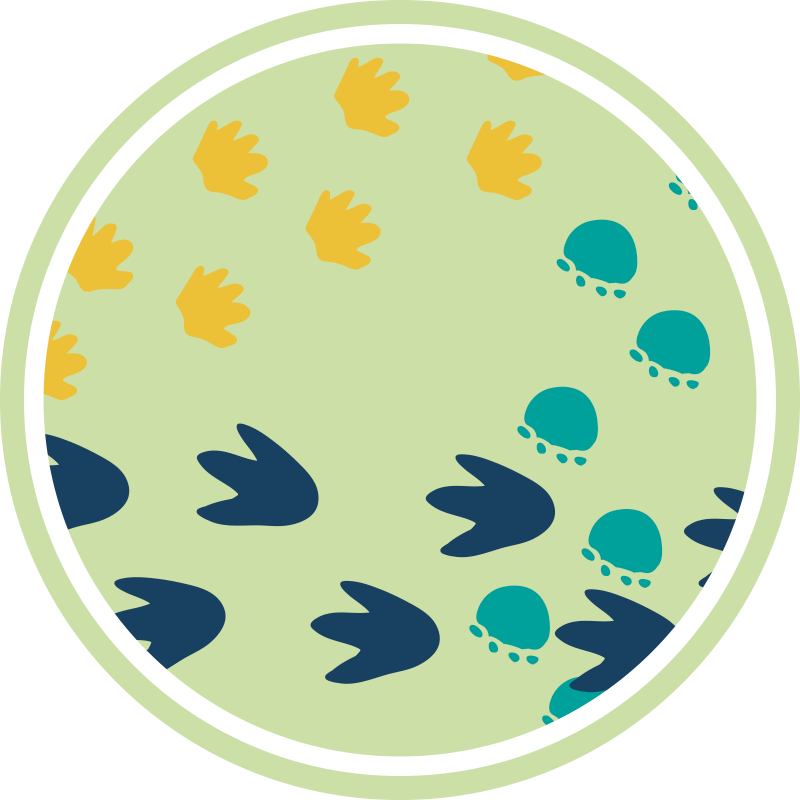 Dinosaur footprints design vinilne preproge z vzorci - TenStickers