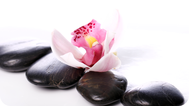 Orhideja s kamni cvetlična vinil preproga - TenStickers