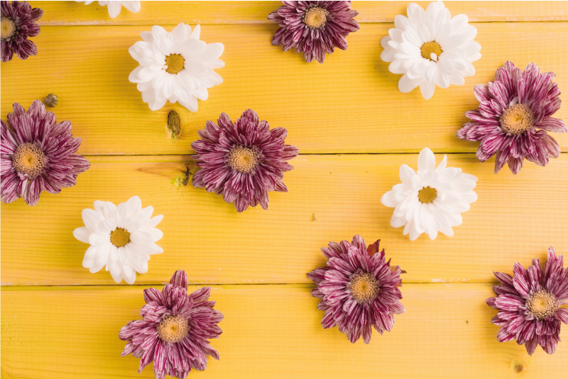 Roza in beli cvetni listi cvetlična vinilna preproga - TenStickers