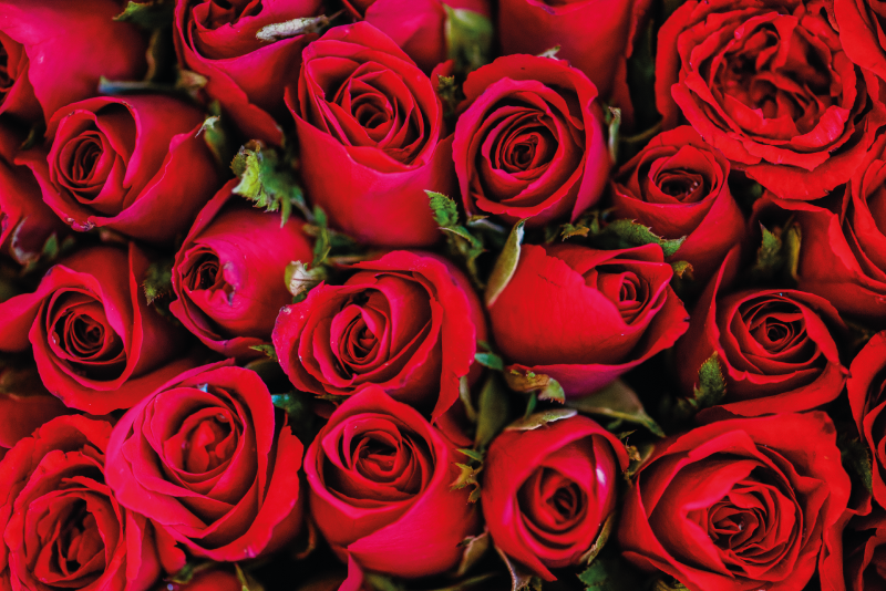 šopek vrtnic cvetlična vinilna preproga - TenStickers