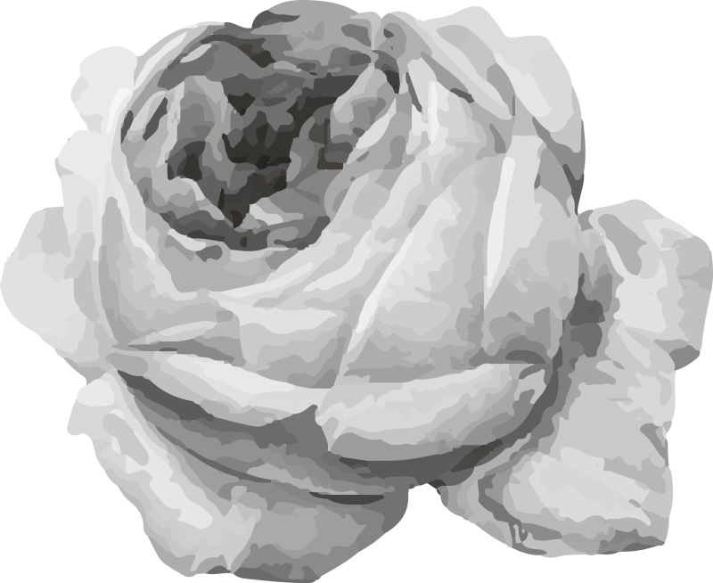 Siva vrtnica vinil preproga - TenStickers