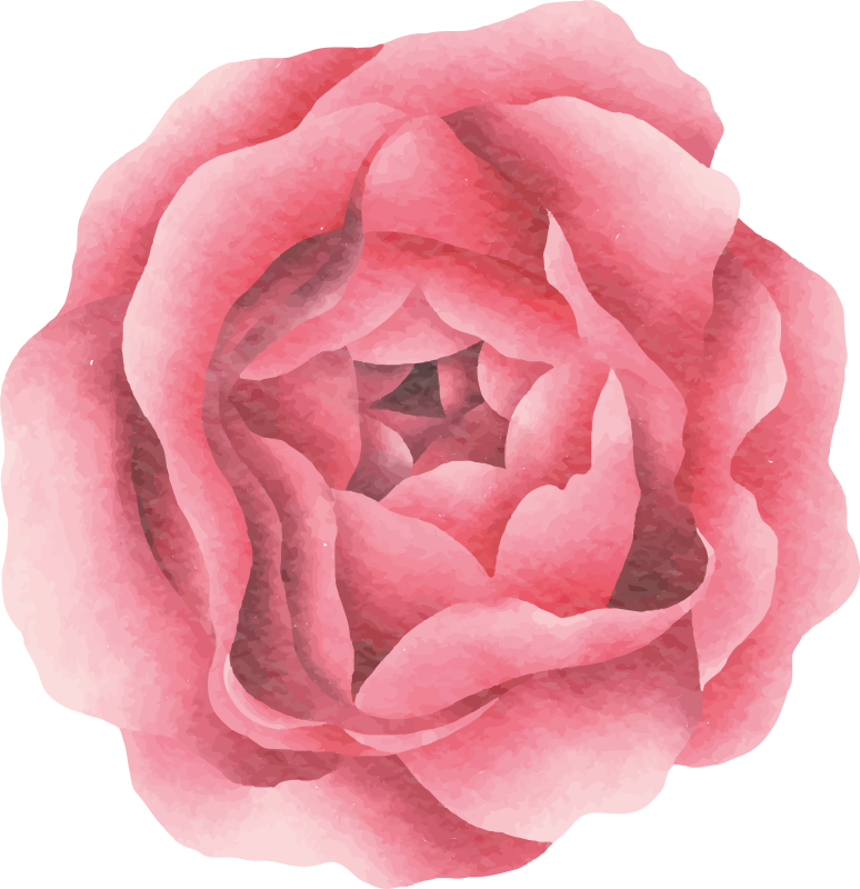 Rdečilo roza cvet cvetlična vinilna preproga - TenStickers