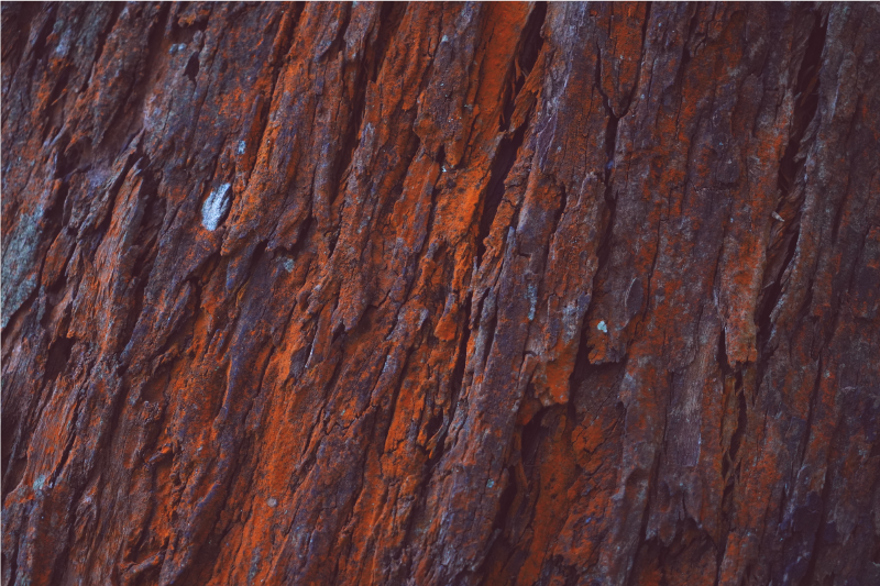 Rustikalna lesena zrnasta efekt vinil preproga - TenStickers