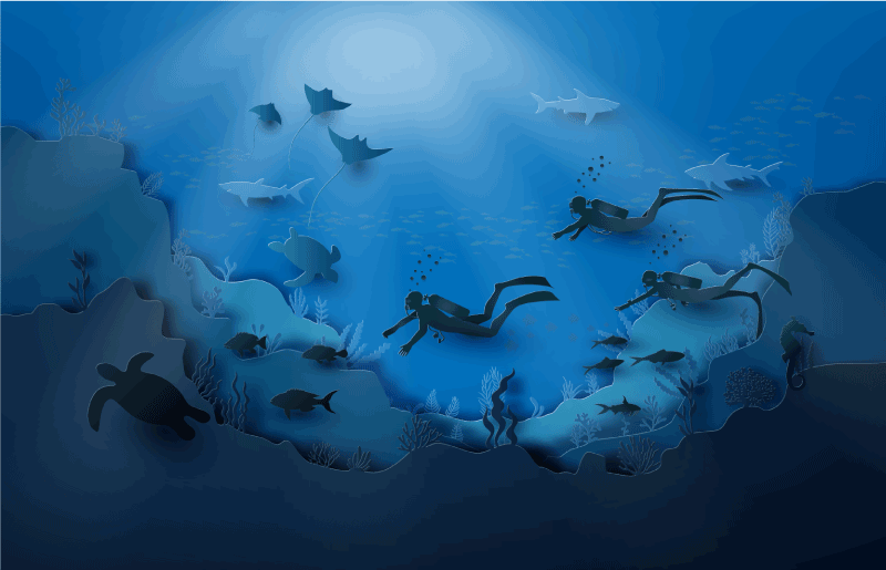 Podvodno raziskovanje Naravne vinilnea preproga - TenStickers