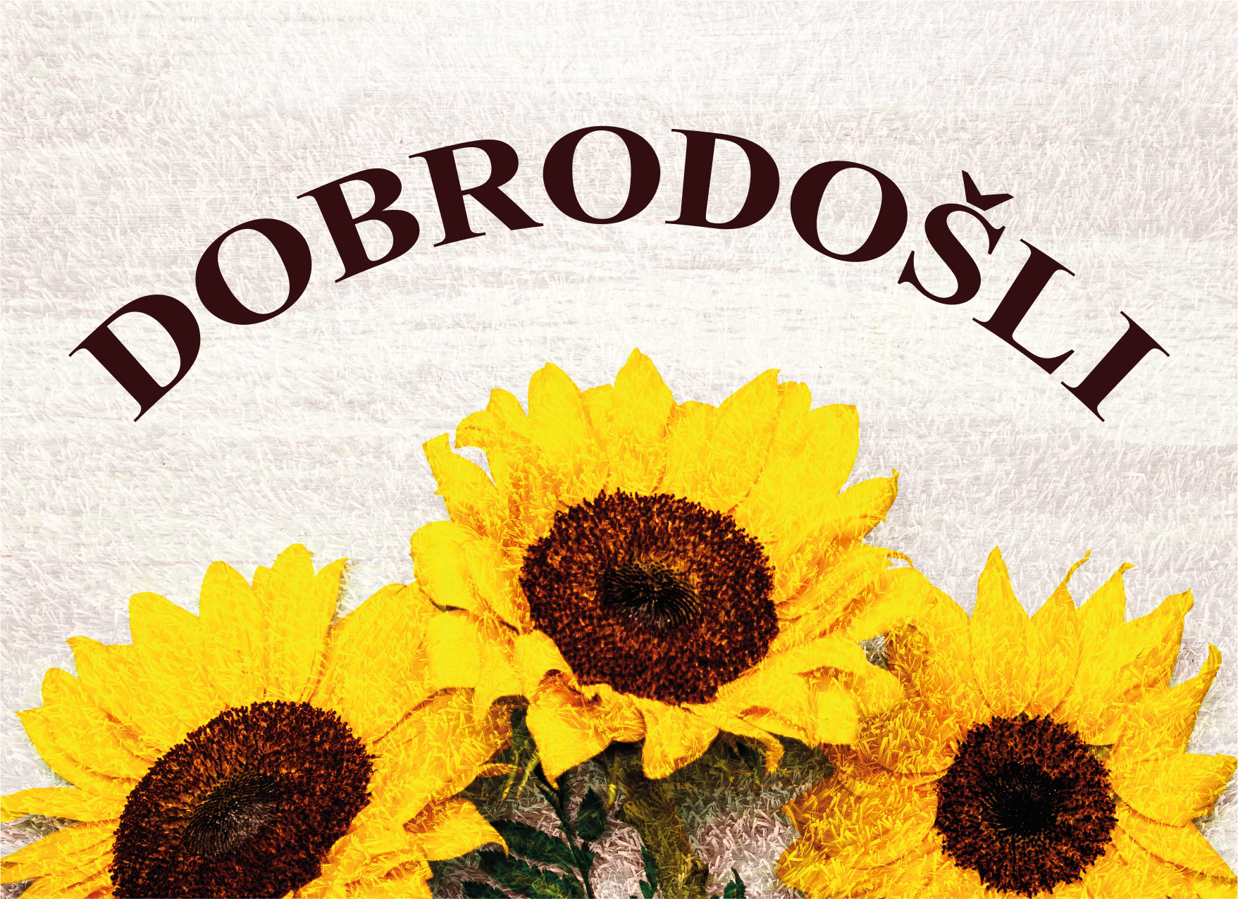 Luštna dobrodošlica s sončnično moderno preprogo - TenStickers