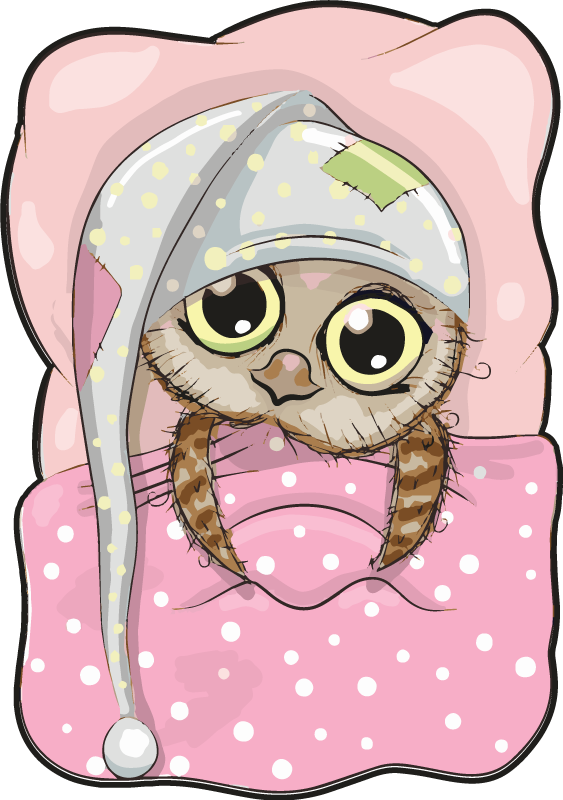 Ljubka speča sova Otroške vinilna preproga - TenStickers