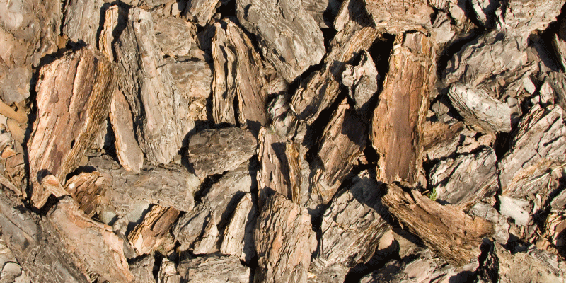 Rjava rustikalna drevesna skorja tekstura preproga - TenStickers