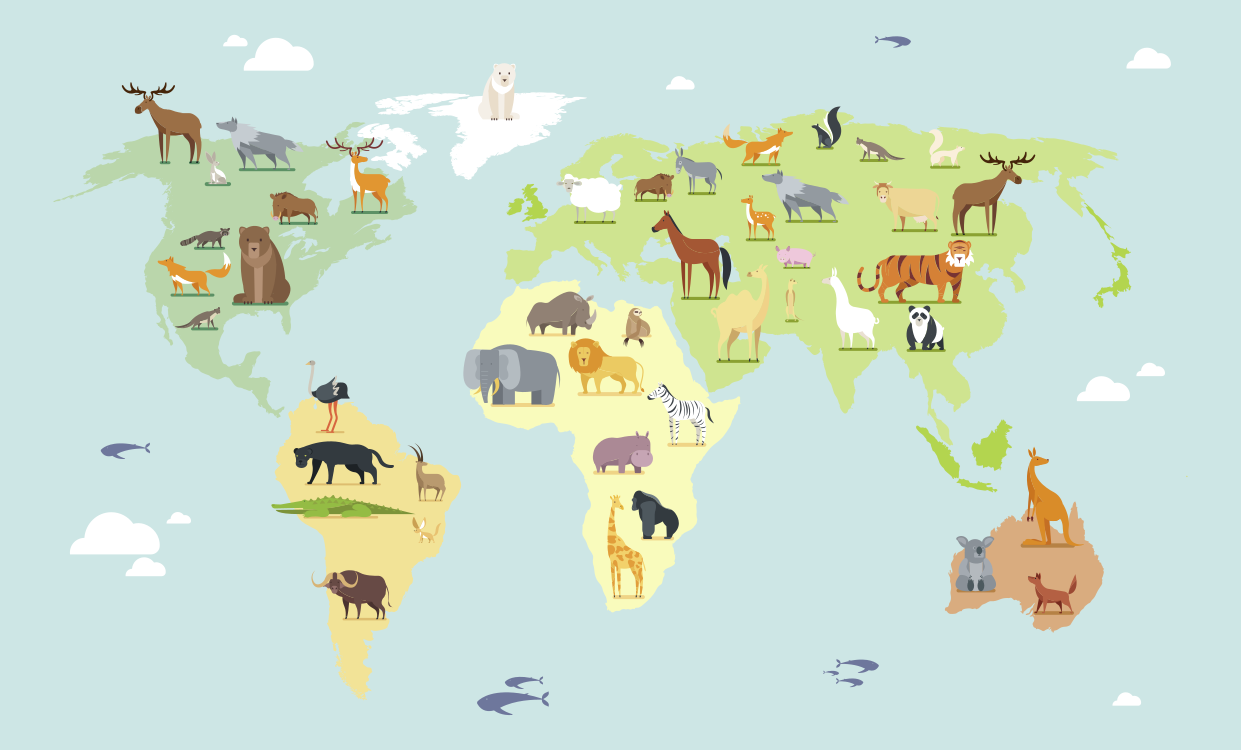 Pisane živali s celin sveta preprogo - TenStickers