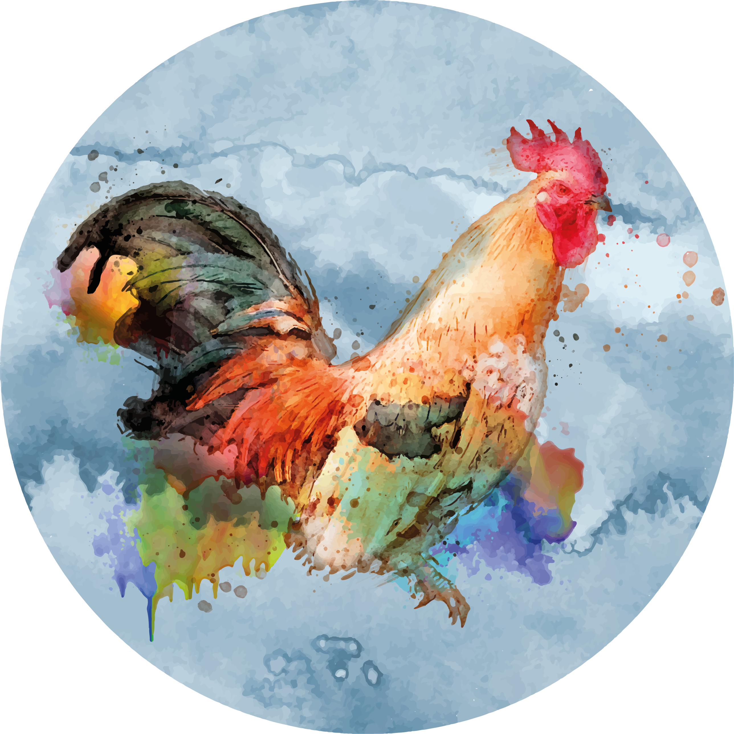 Colorful rooster splash vinilni tepih z živalmi - TenStickers