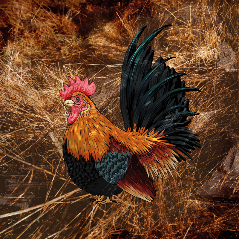 Vibrant rooster depiction vinilni tepih z motivom živali - TenStickers