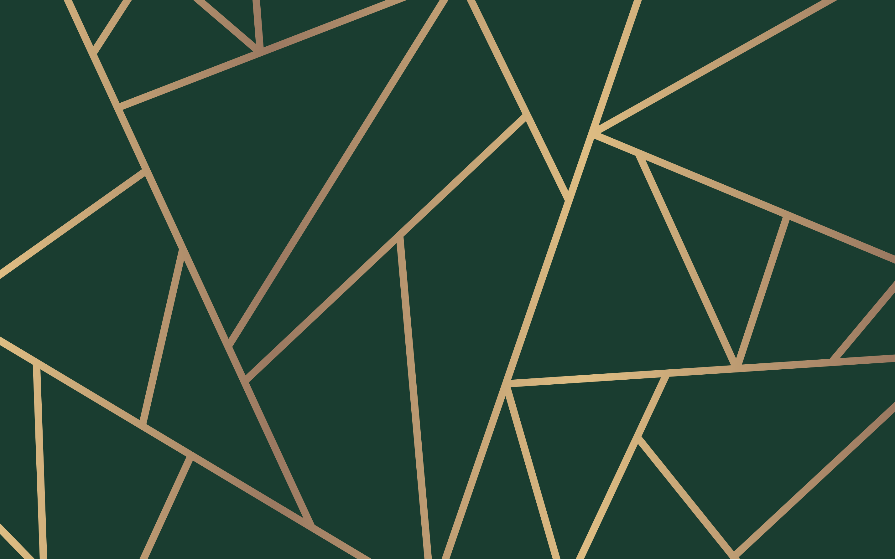 Green elegant lines vinilne preproge z vzorci - TenStickers