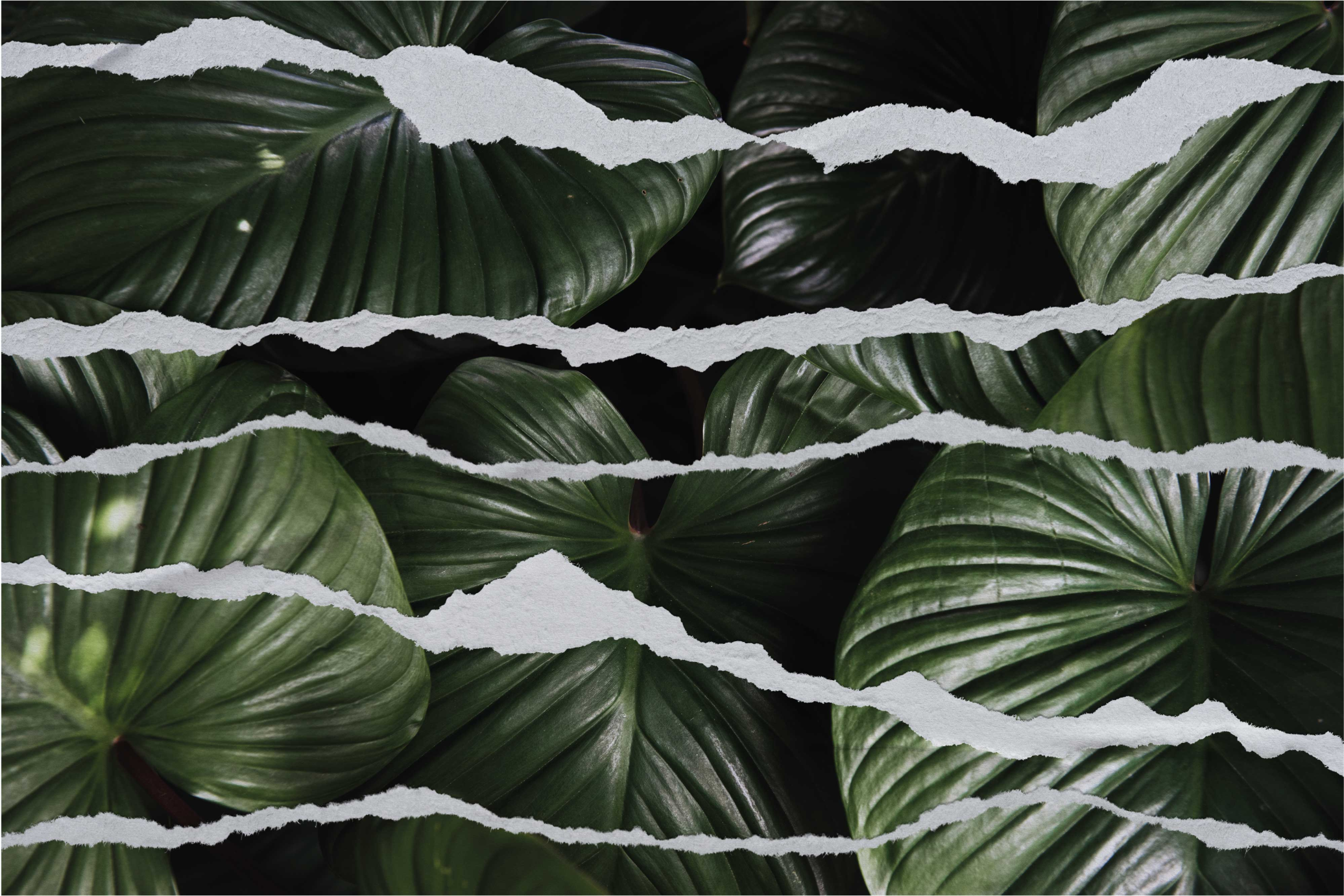 Vzorec raztrganega lista Naravne vinilnea preproga - TenStickers