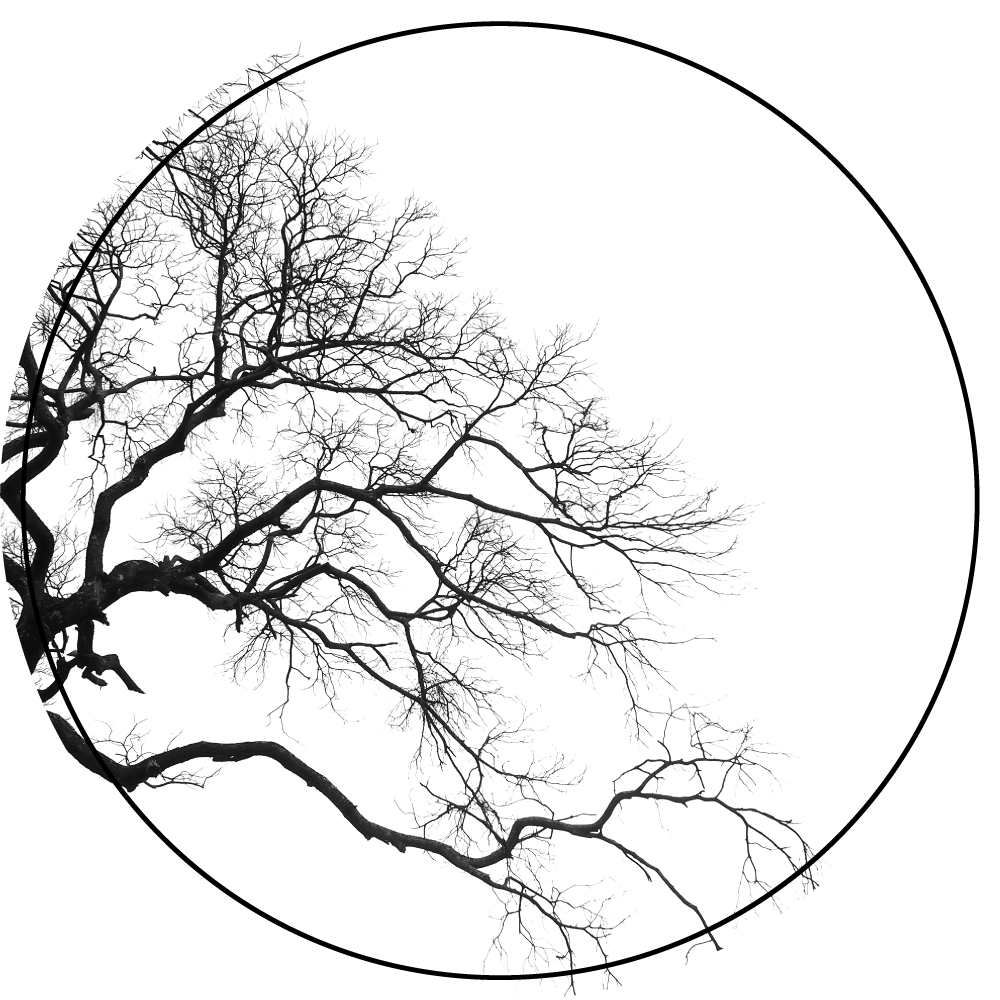 Umetnost silhuete veje Naravne vinilnea preproga - TenStickers