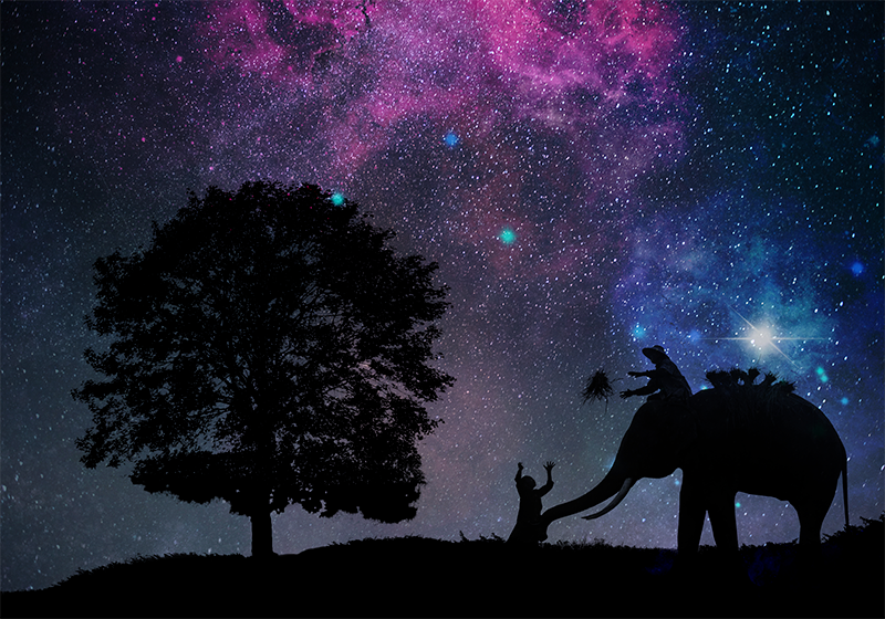 Kozmična slonja pustolovščina Tepih z živalskim potiskom - TenStickers