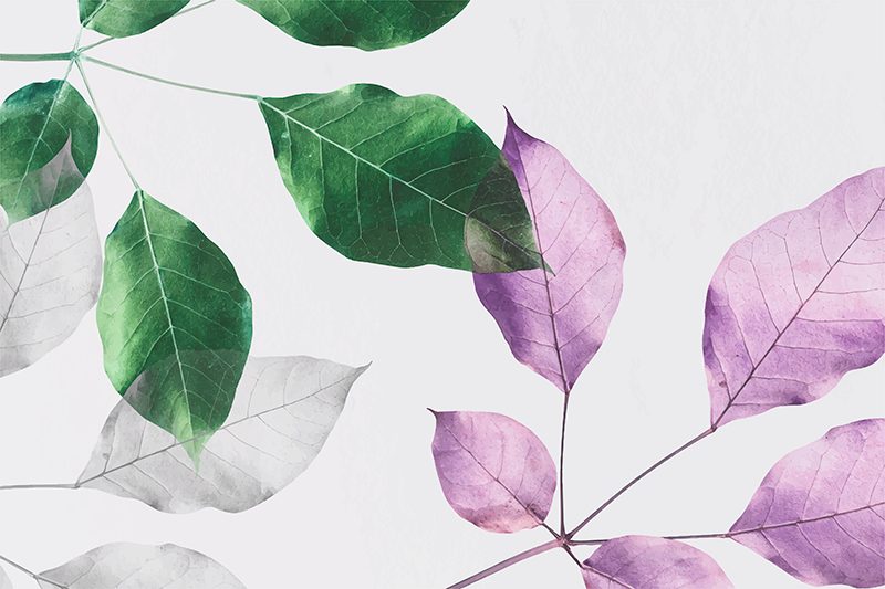 Listnati botanični odtisi cvetlična vinilna preproga - TenStickers