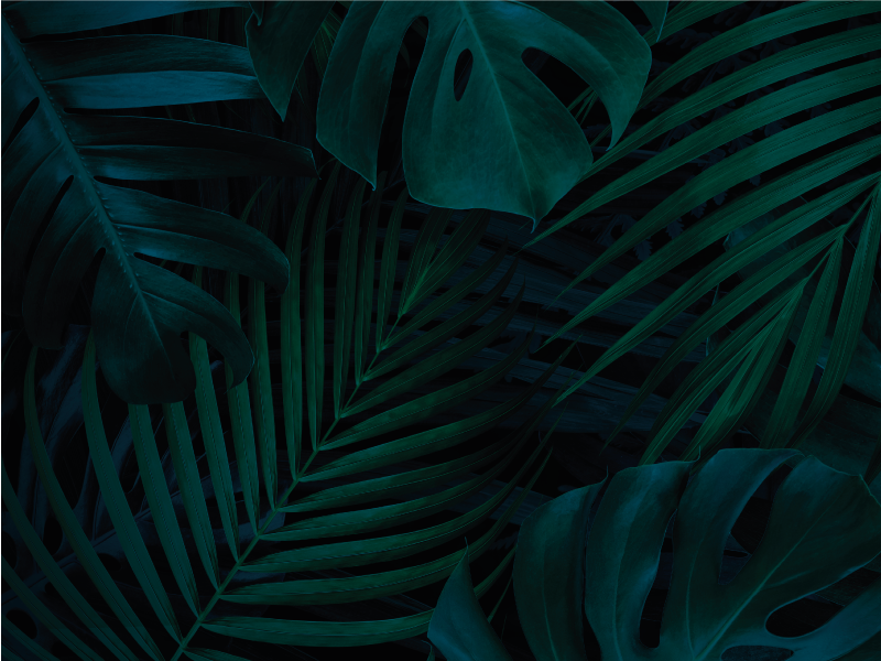 Tropsko listje cvetlična vinilna preproga - TenStickers