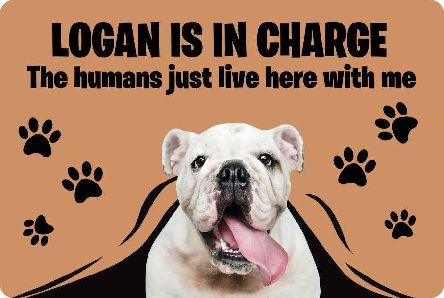 Ploščice za predsobo za hišne ljubljenčke po meri - TenStickers