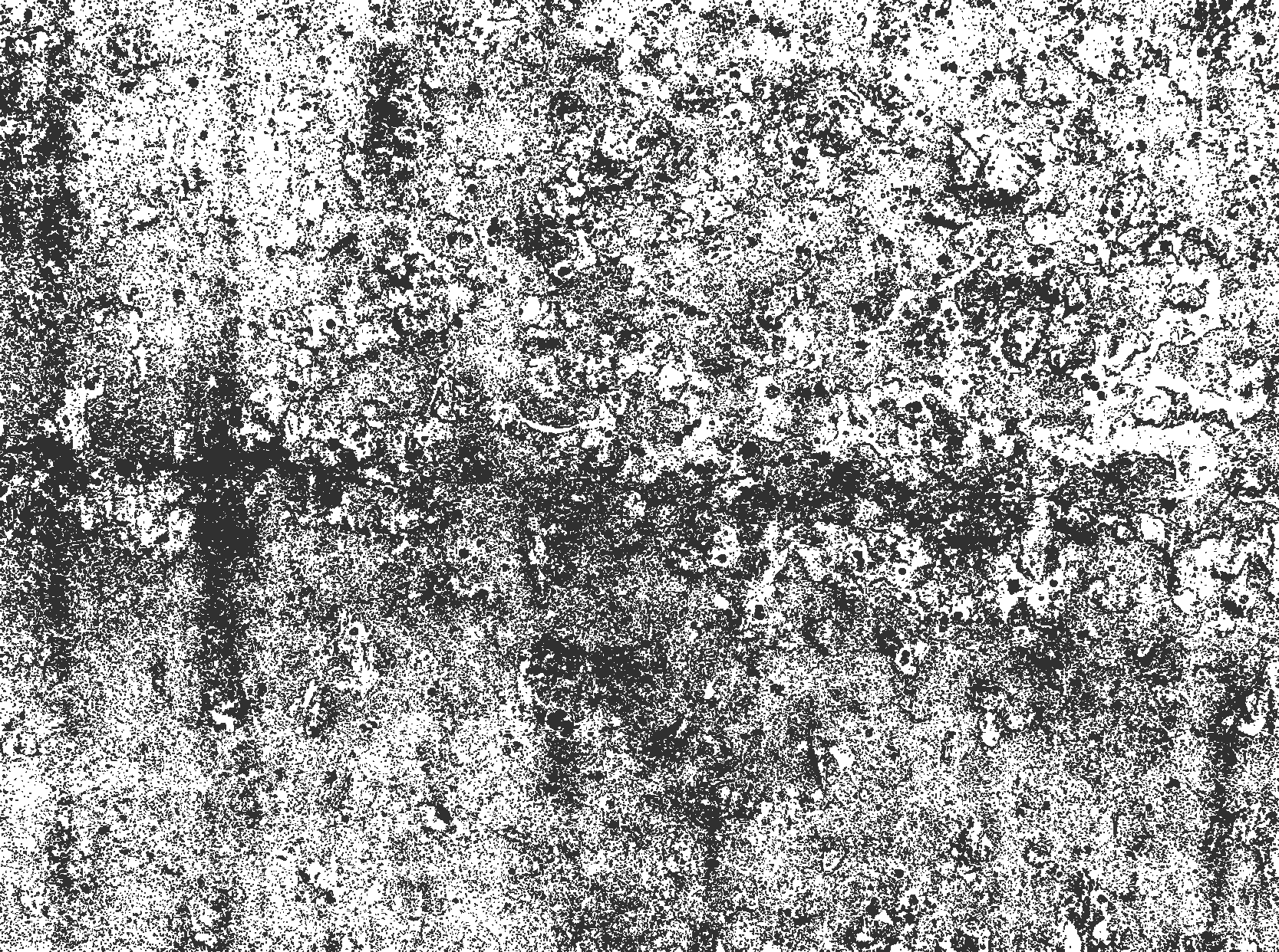 Zbledela siva Jedilniški vinilni dekorativni preprogi - TenStickers