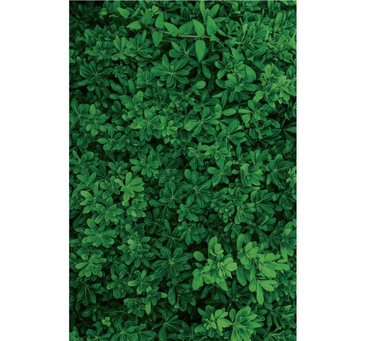 Deep green nature tapeta narave - TenStickers