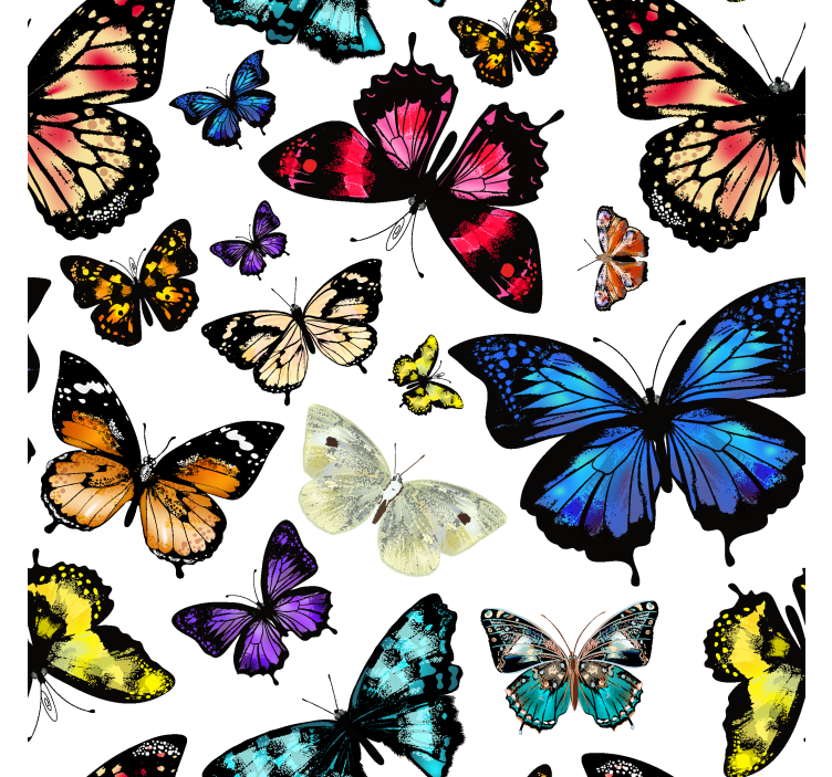 Colored flying motif metuljev ozadje - TenStickers