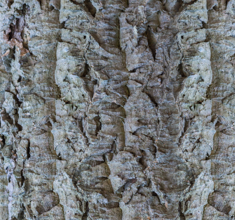 Učinek plute svetlo siva moderna tapeta - TenStickers