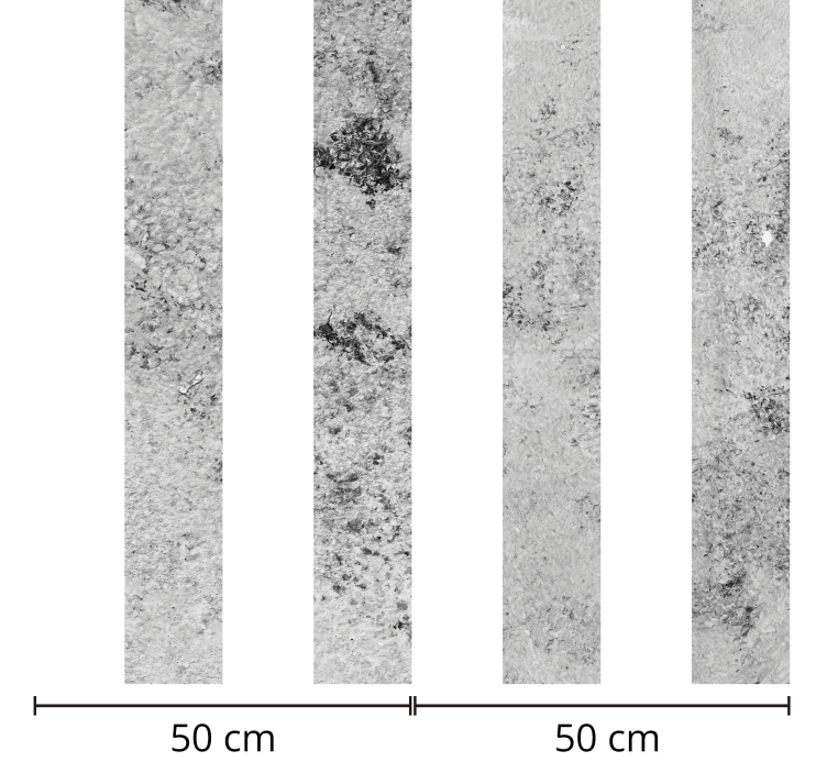Sivo črtasto betonsko teksturirano tapeta - TenStickers