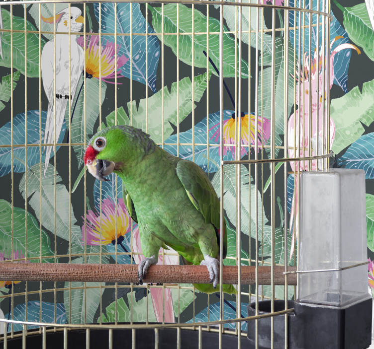 Tropični ptiči in listi Tapeta z motivi ptic - TenStickers